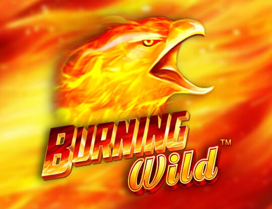 Burning Wild